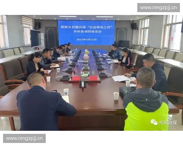 基于专项反馈机制的优化路径与实施策略探讨